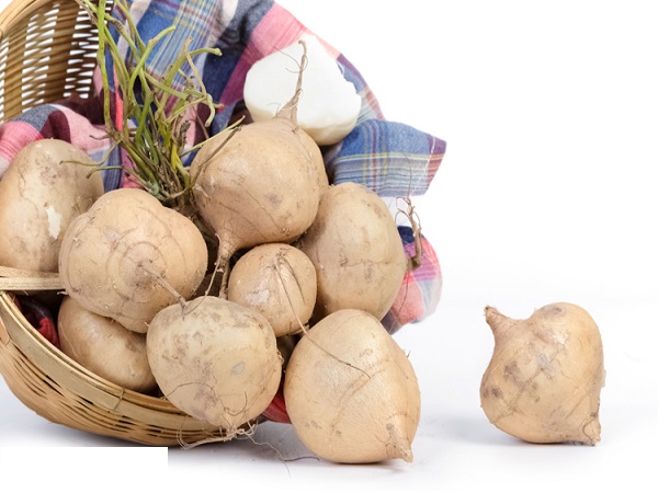 Chiêm bao thấy củ đậu nên đánh số con bao nhiêu?