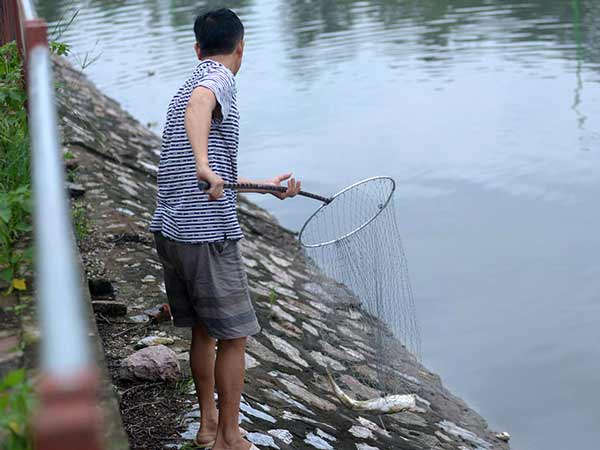 Chiêm bao thấy ăn trộm cá nên đánh con gì?