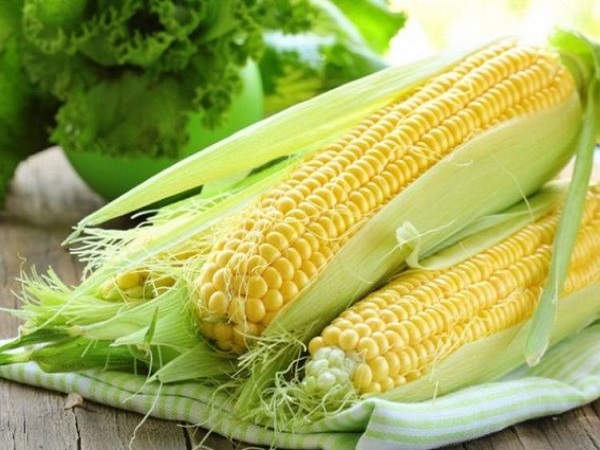 Mơ thấy bắp ngô là điềm báo gì?