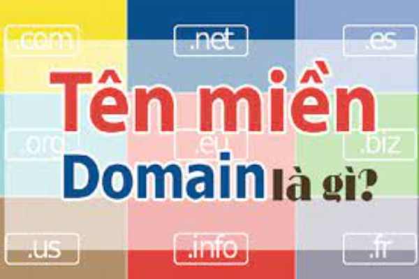 Các loại domain (tên miền)