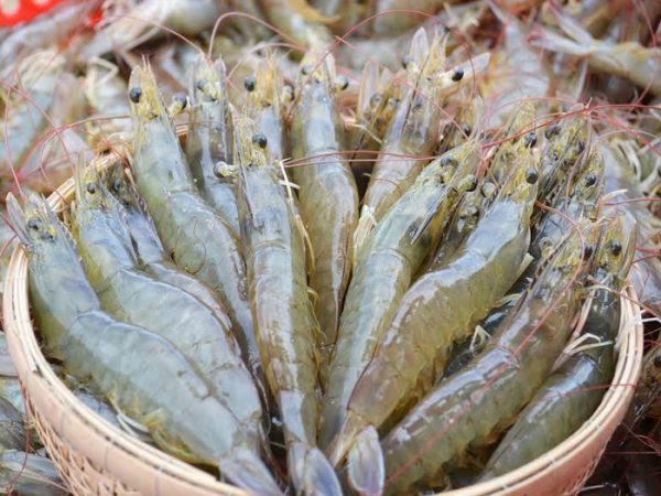 Con tôm số mấy? Luận giải ý nghĩa giấc mơ thấy tôm