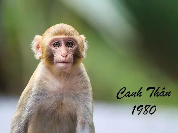 Xem ngày nhập trạch tuổi canh thân đón rước tài lộc vào nhà