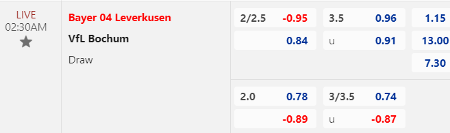 Kèo bóng đá hôm nay giữa Leverkusen vs Bochum