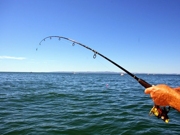 Giải mã ý nghĩa giấc mơ thấy câu cá dự báo may hay rủi sắp tới?