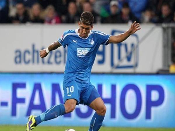 Roberto Firmino trong màu áo Hoffenheim