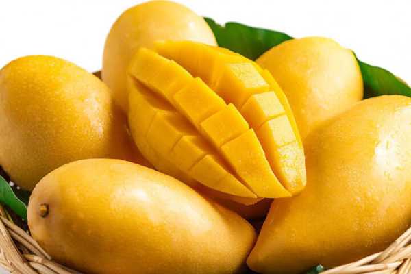 Giải mã ý nghĩa giấc mơ thấy quả xoài