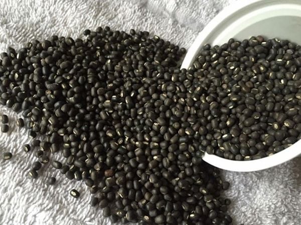 Mơ thấy hạt đậu đen may hay rủi đánh con gì trăm trận trăm thắng?