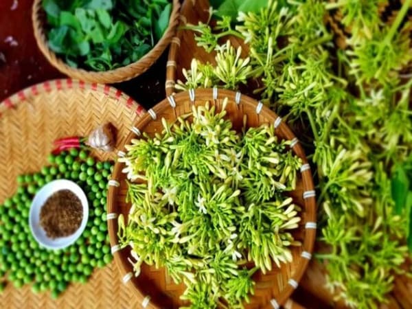 Thấy hoa đu đủ đực có ý nghĩa gì