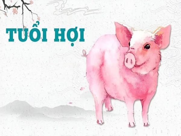 Những ngày xấu tuổi Hợi nên tránh
