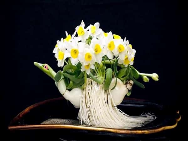 Thấy hoa thủy tiên số mấy