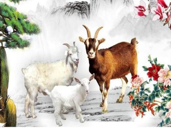 Những năm không hợp 2003 - Năm xấu nên tránh