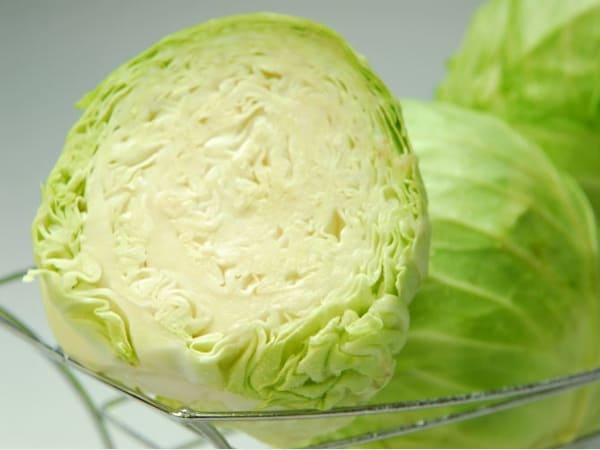 Trường hợp nhìn thấy rau bắp cải xanh tươi