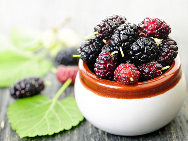 Chiêm bao thấy hái dâu tằm chín
