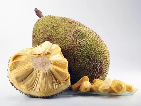 Nằm mơ thấy quả mít có tín hiệu gì trong cuộc sống?