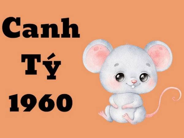 Tổng quan vận trình tử vi tuổi Canh Tý ngày 31/7/2025