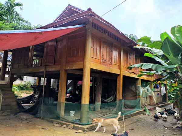 Nằm mơ thấy nhà sàn ẩn chứa điều gì?