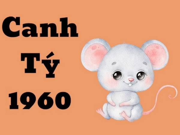 Tử vi tuổi Canh Tý 6/8/2025: Vận trình công danh – tài lộc – sức khỏe