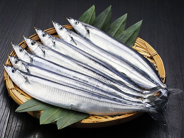 Chiêm bao thấy cá thu có thông điệp như thế nào?