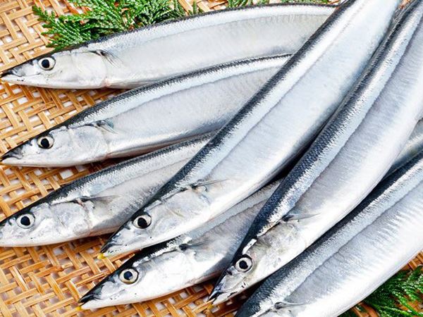 Chiêm bao thấy cá thu có thông điệp như thế nào?