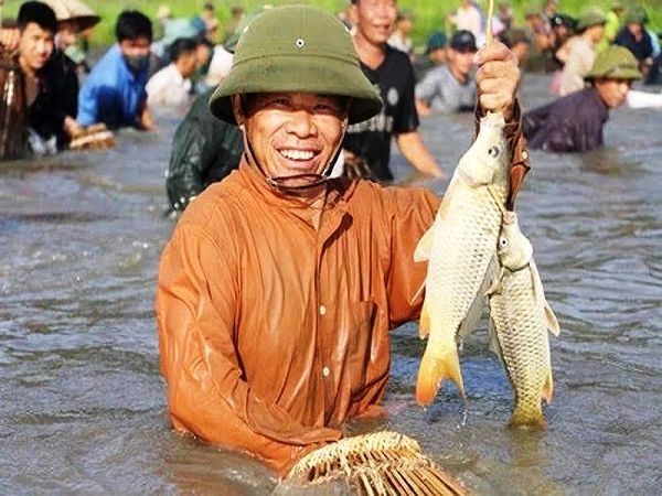 Giải mã ý nghĩa giấc mơ thấy bắt được cá