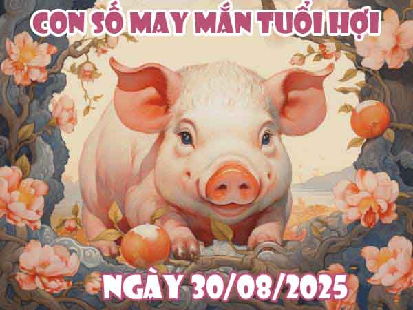 Con số may mắn tuổi Hợi ngày 30/8/2025 thứ 7 hôm nay