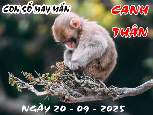Con số tài lộc tuổi Canh Thân ngày 20/9/2025 thứ 7 hôm nay