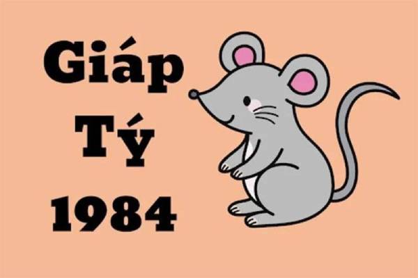 Tổng quan vận trình tử vi trọn đời cho tuổi Giáp Tý