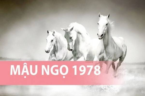 Sự thật thú vị về số may mắn tuổi Mậu Ngọ 3/10/2025?